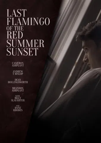 last flamingo of the red summer sunset 2024 poster