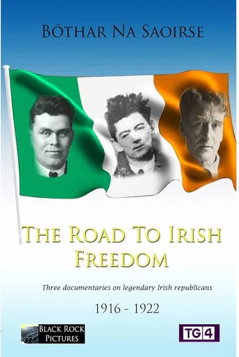bóthar na saoirse 2011 poster