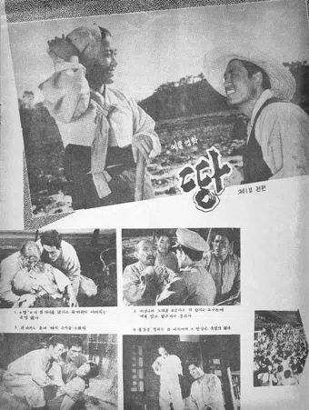 ttang 1960 poster