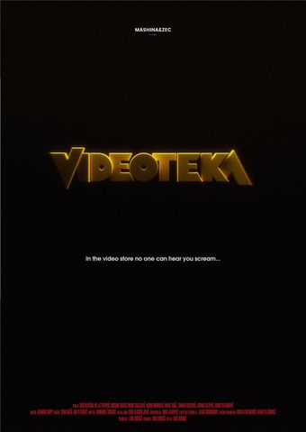 videoteka 2024 poster