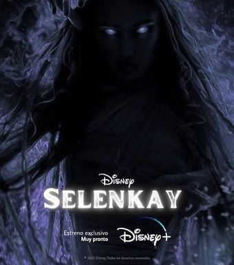 selenkay 2023 poster