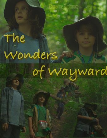 the wonders of wayward 2023 poster