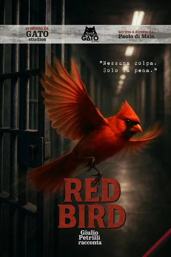red bird giulio petrilli racconta 2025 poster