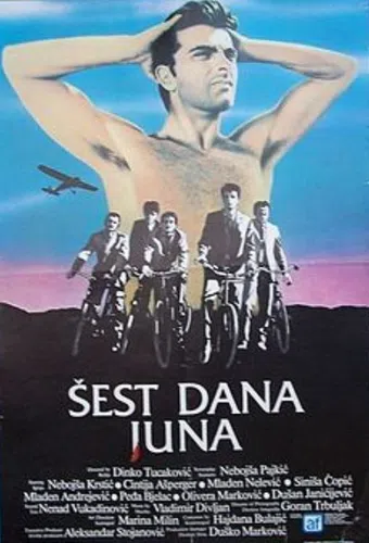 sest dana juna 1985 poster