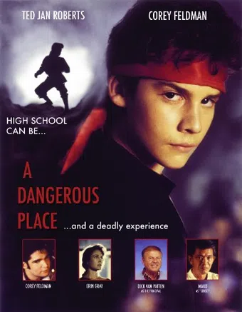 a dangerous place 1994 poster